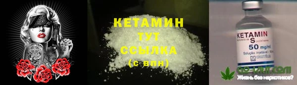 крисы Абаза