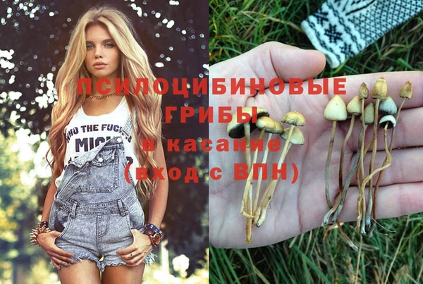 эйфоретик Абдулино