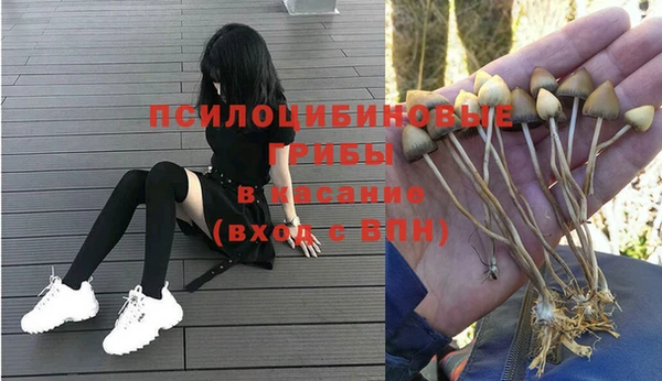 прущий лед Алзамай