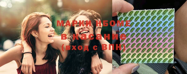крисы Абаза